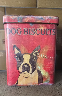 dog biscuits